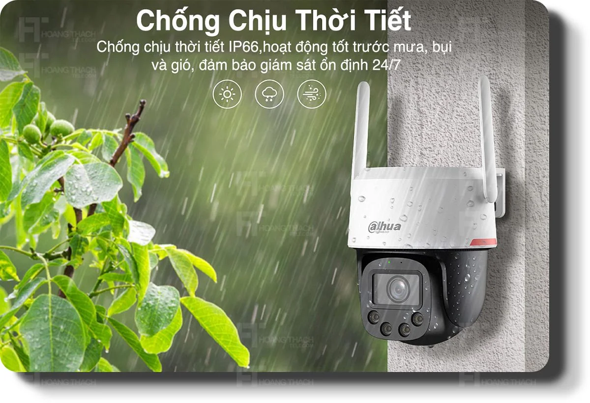 Tin tức